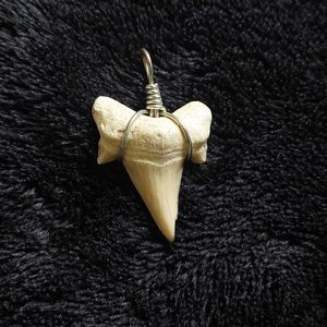 Shark 🦈 Tooth Pendant